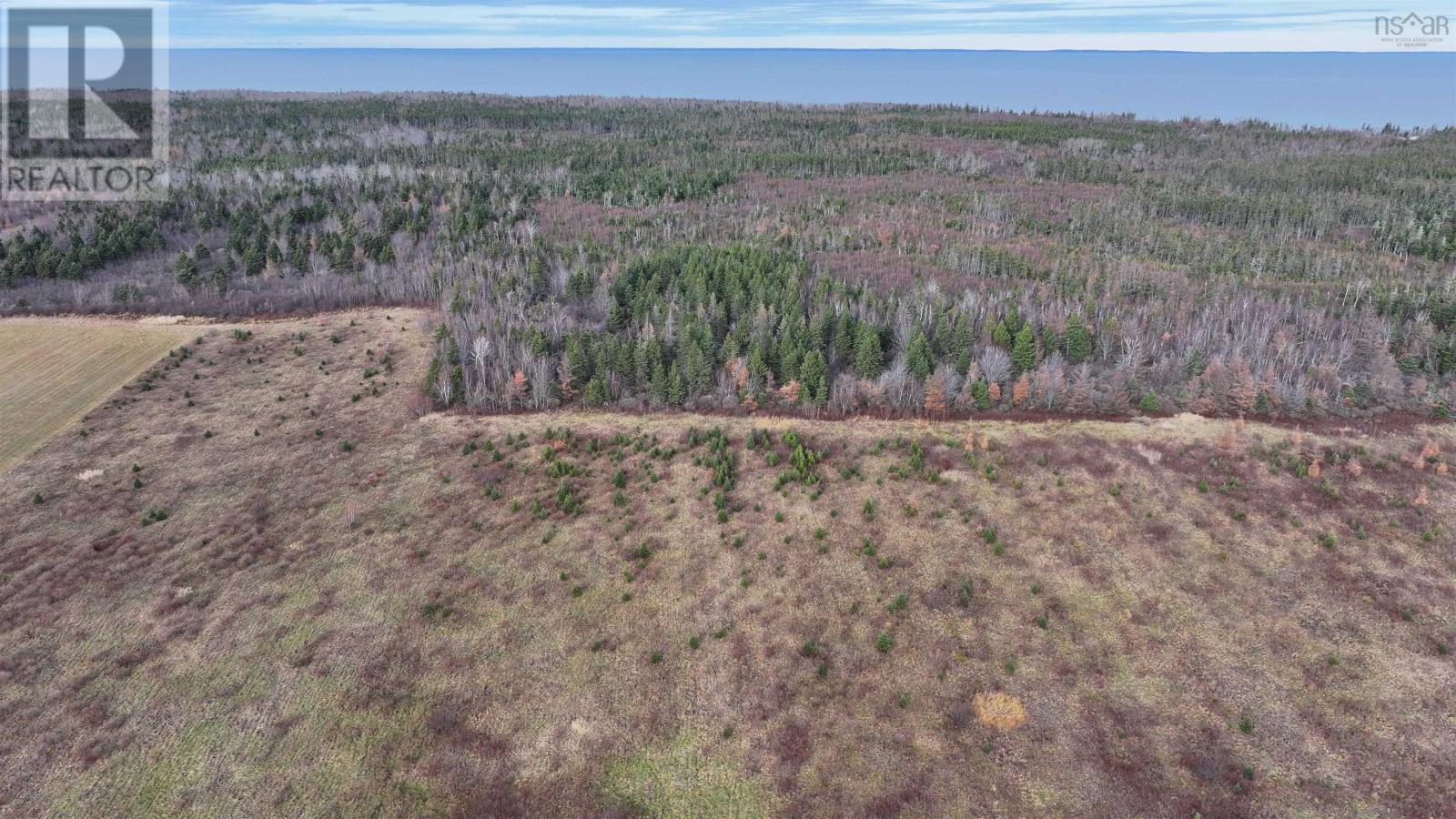 1659 Fox Harbour Road, Fox Harbour, Nova Scotia  B0K 1Y0 - Photo 10 - 202415279