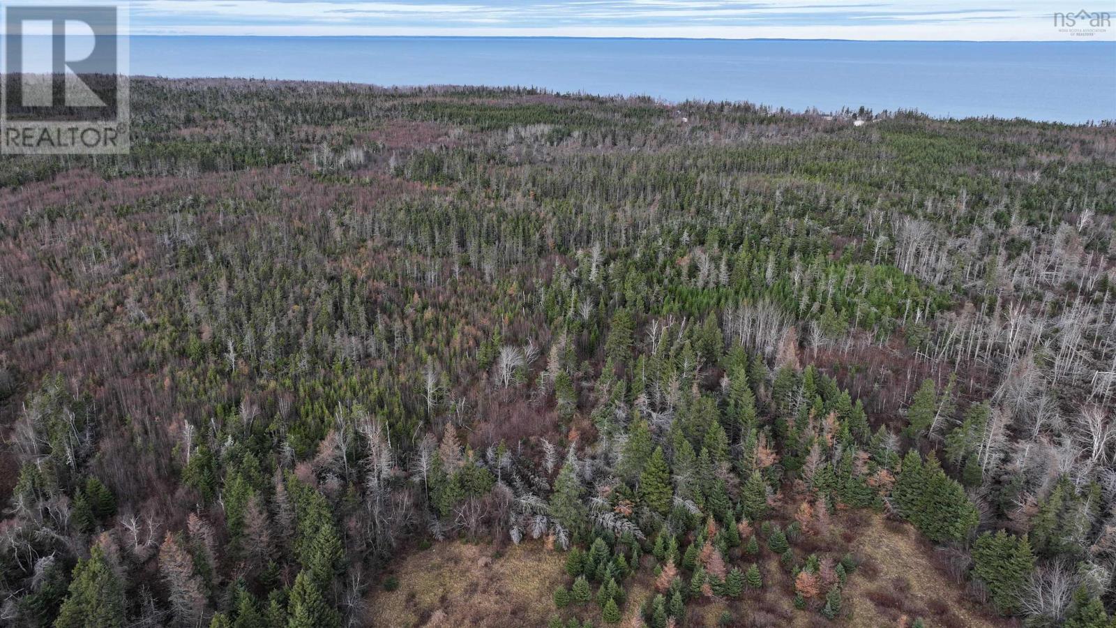 1659 Fox Harbour Road, Fox Harbour, Nova Scotia  B0K 1Y0 - Photo 12 - 202415279