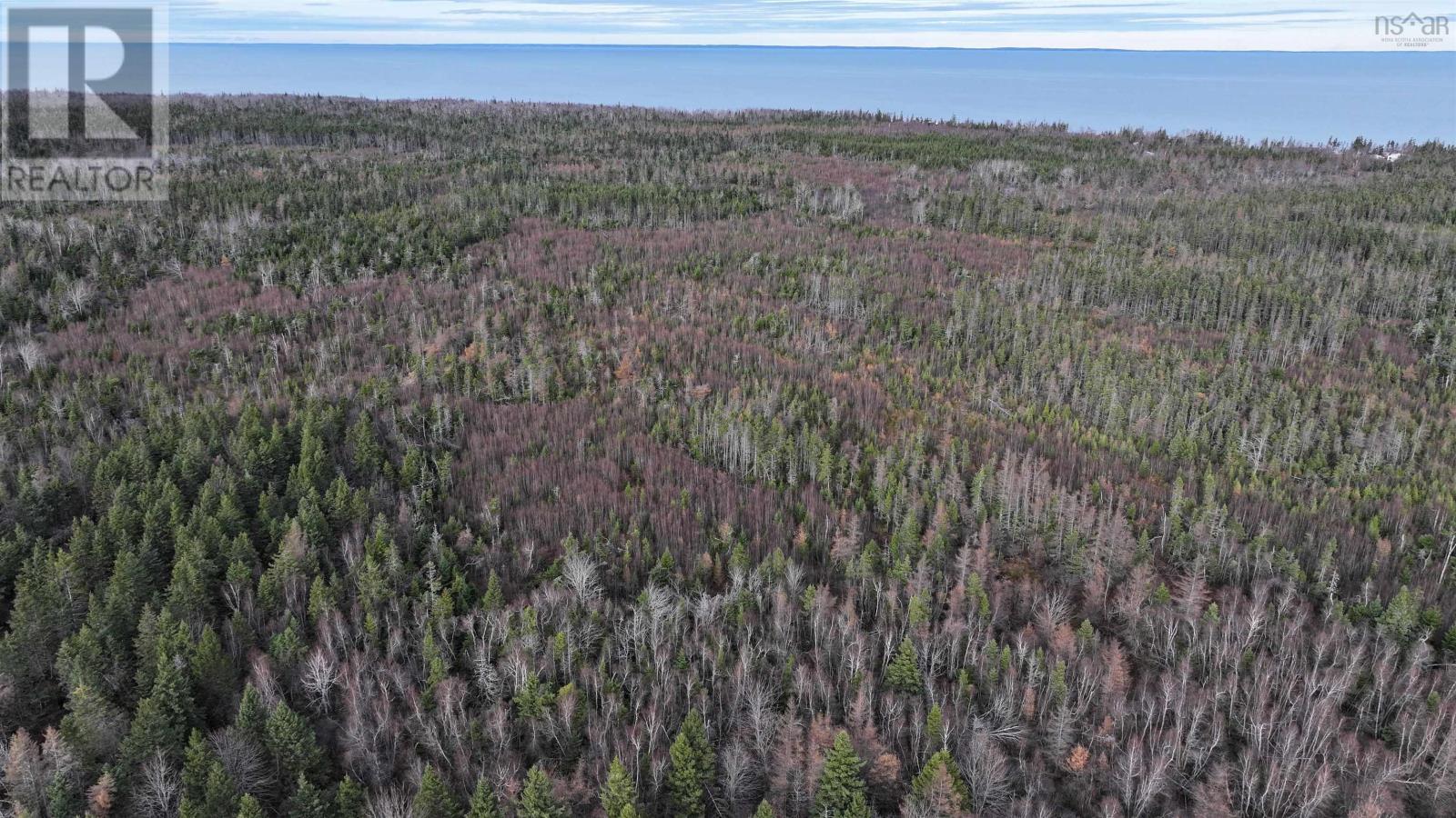 1659 Fox Harbour Road, Fox Harbour, Nova Scotia  B0K 1Y0 - Photo 20 - 202415279