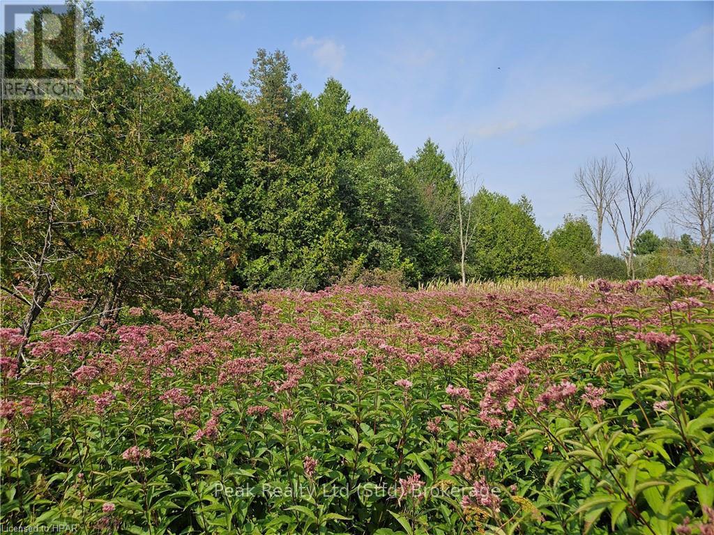 85043 Marnoch Line, North Huron, Ontario  N0G 1E0 - Photo 5 - X10780571