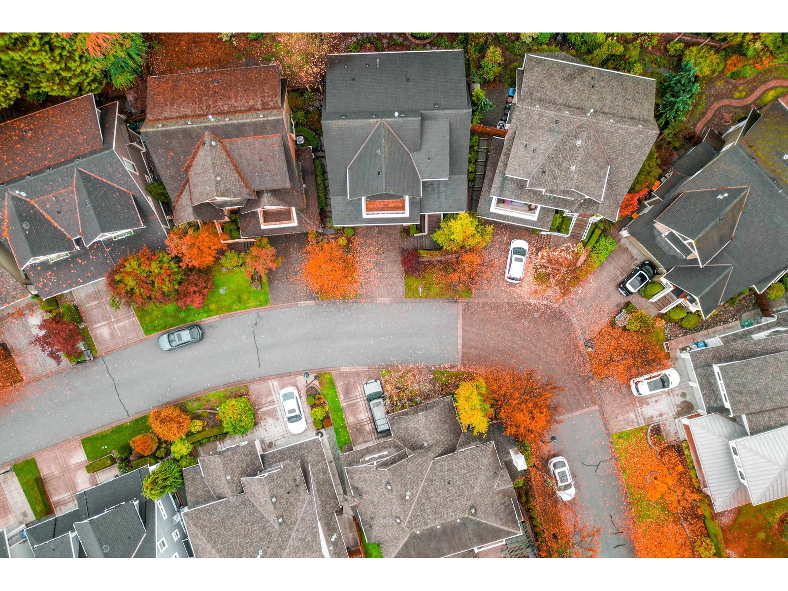 14208 36a Avenue, Surrey, British Columbia  V4P 0C2 - Photo 26 - R2949207