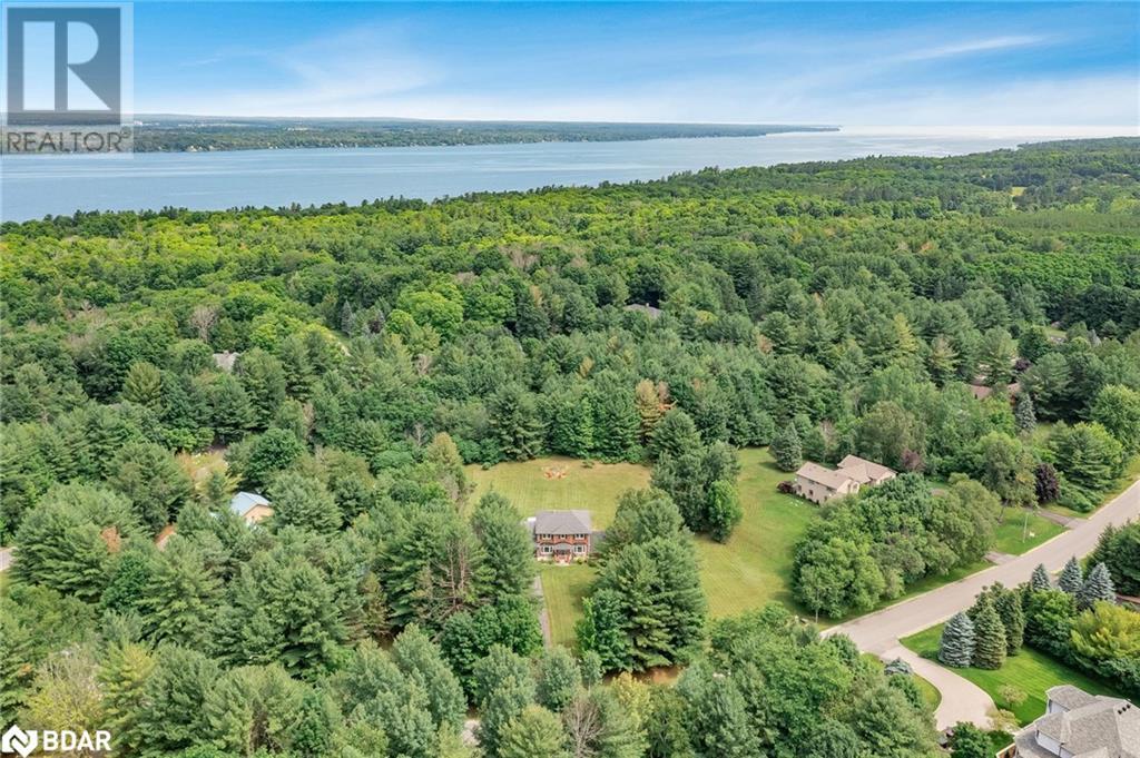 1602 Kale Drive, Innisfil, Ontario  L9S 1X2 - Photo 36 - 40678387