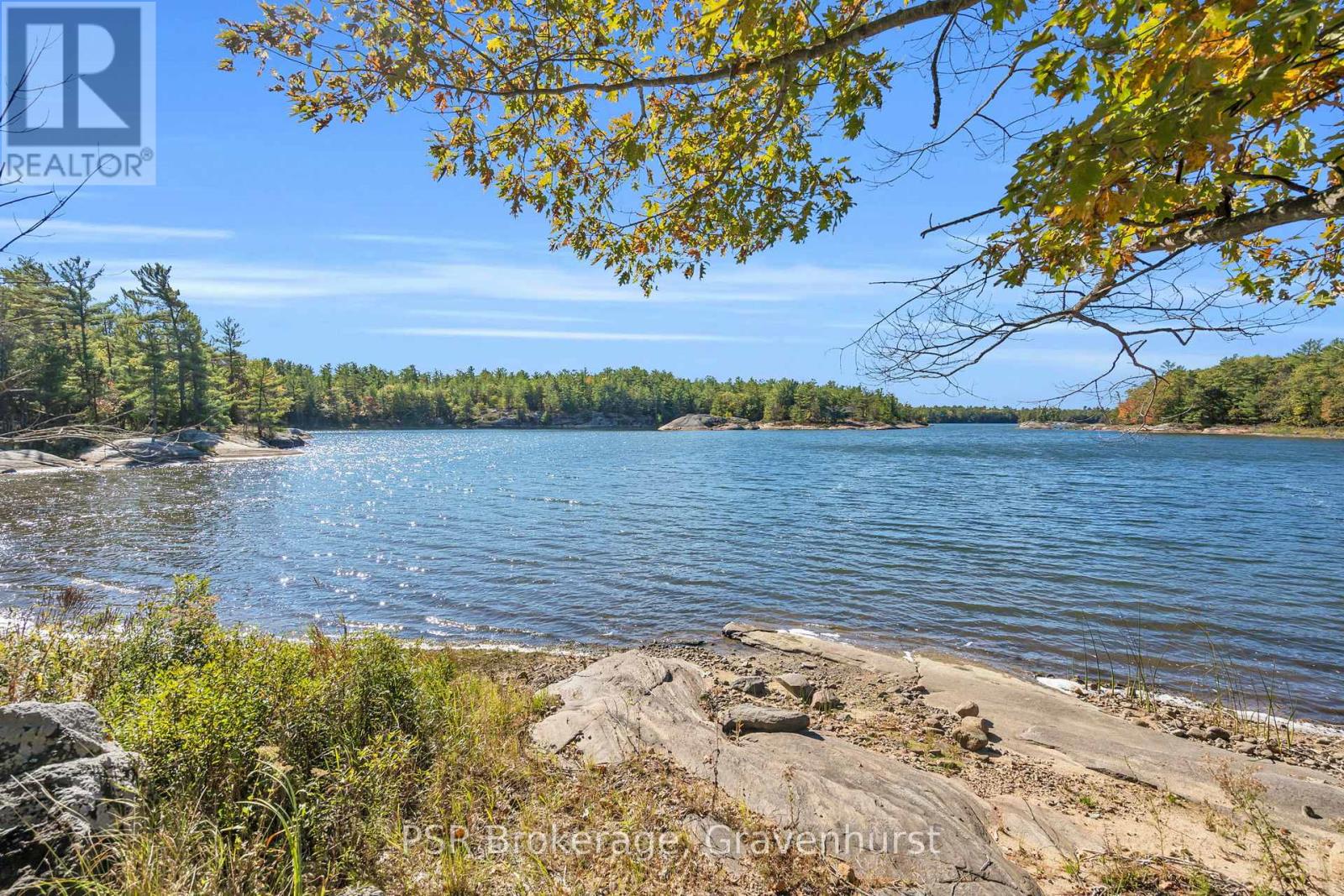 9 A30 Island, The Archipelago, Ontario  P0G 1K0 - Photo 29 - X10437241