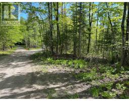 0 SHARON LAKE DRIVE, minden hills (minden), Ontario
