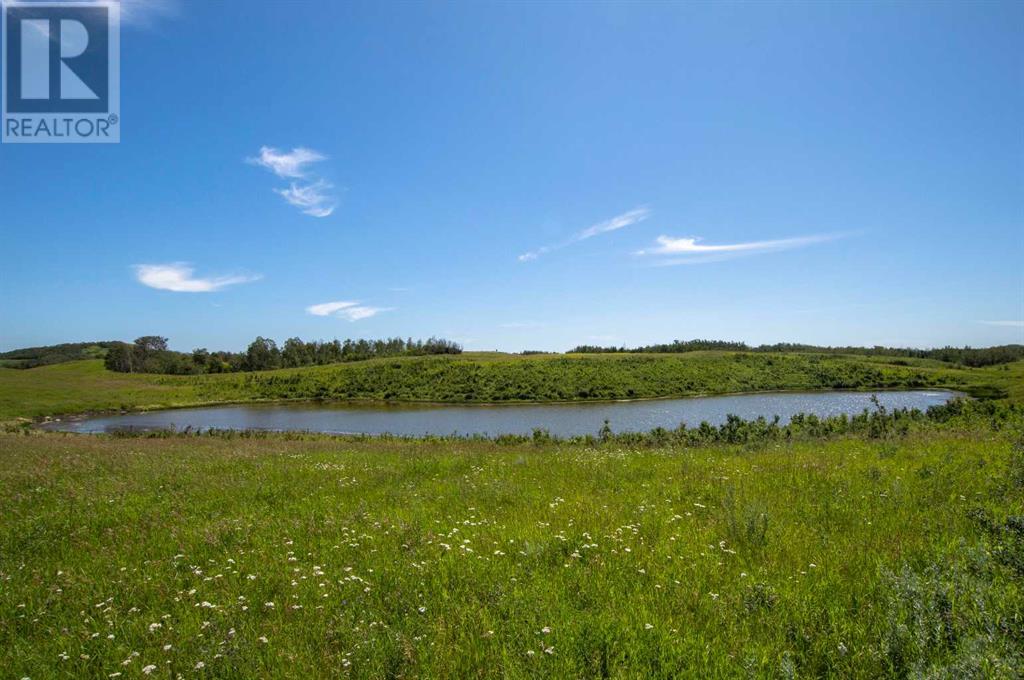 On Rr 20-4, County Of, Alberta  T0C 2L0 - Photo 18 - A2107831