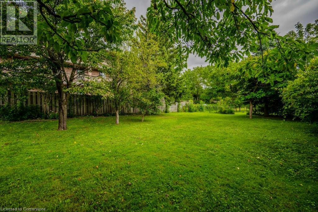 188 Waterloo StreetKitchener, Ontario  N2H 3W1 - Photo 24 - 40646297