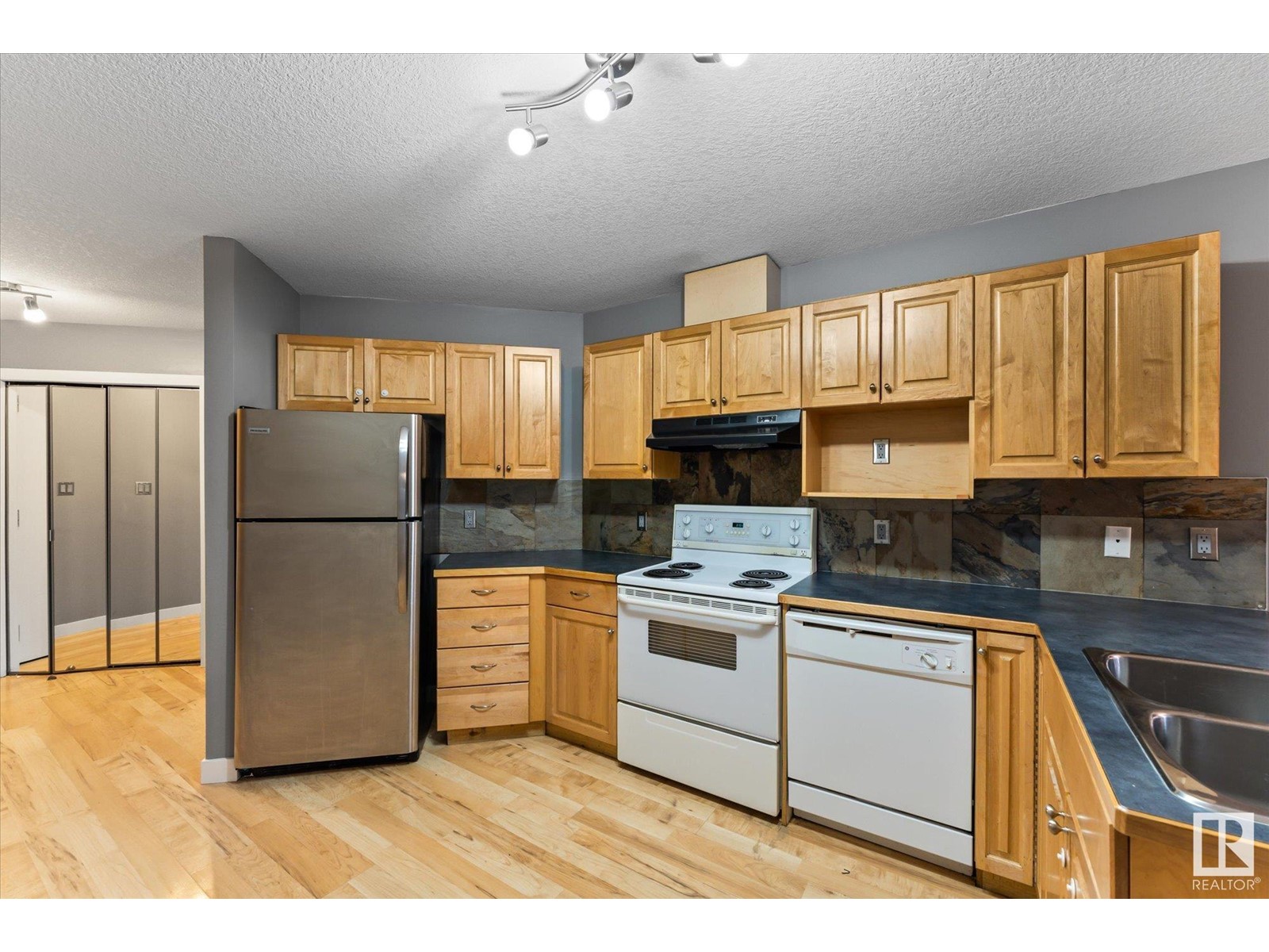 #205 9336 Jasper Av Nw, Edmonton, Alberta  T5H 3T5 - Photo 14 - E4380021