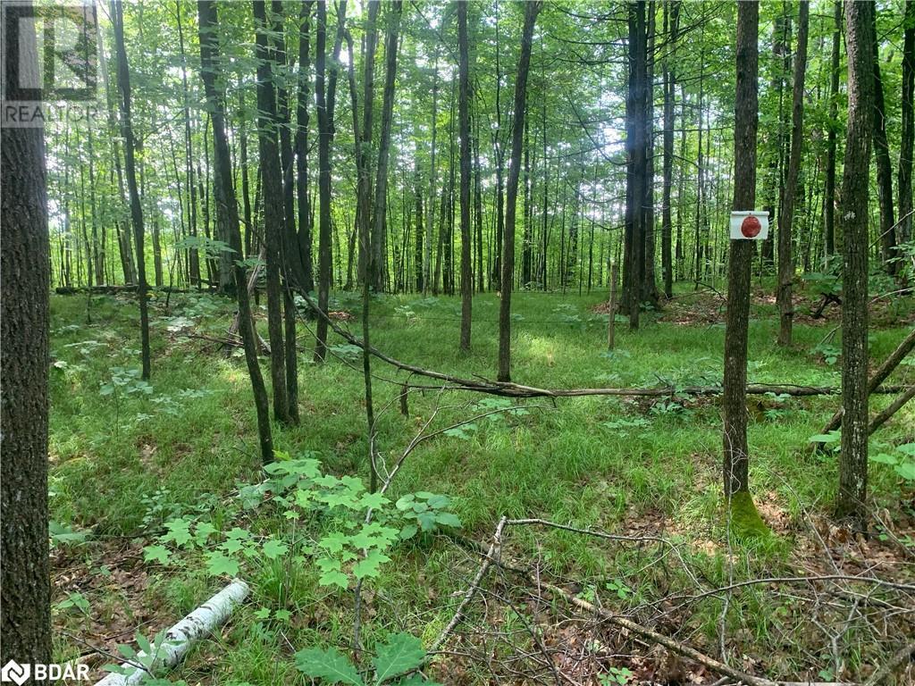 00 Clareview Road, Erinsville, Ontario  K0K 2A0 - Photo 18 - 40683984
