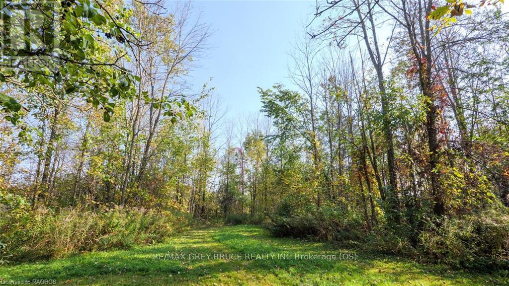 873 14th Street W, Georgian Bluffs, Ontario  N4K 6V5 - Photo 30 - X11879932