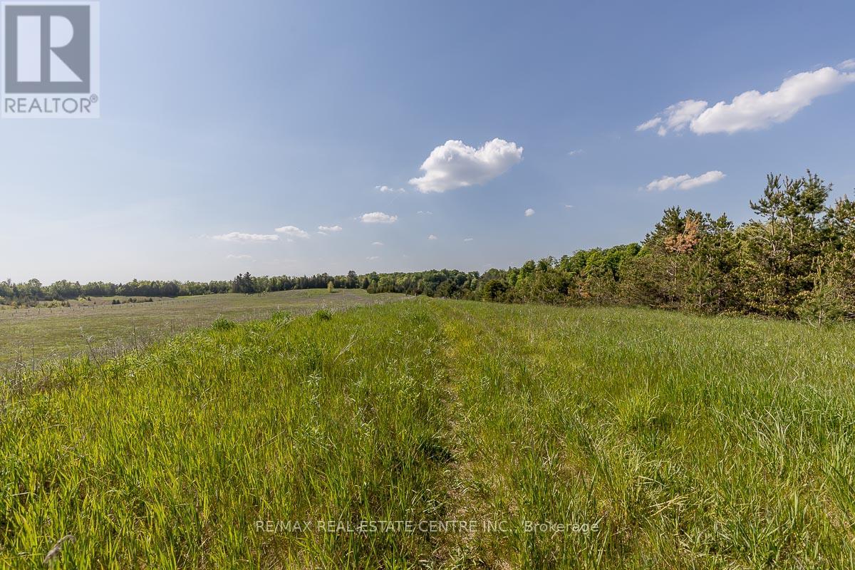 2140 Charleston Side RoadCaledon, Ontario  L7K 0R5 - Photo 22 - W11885251