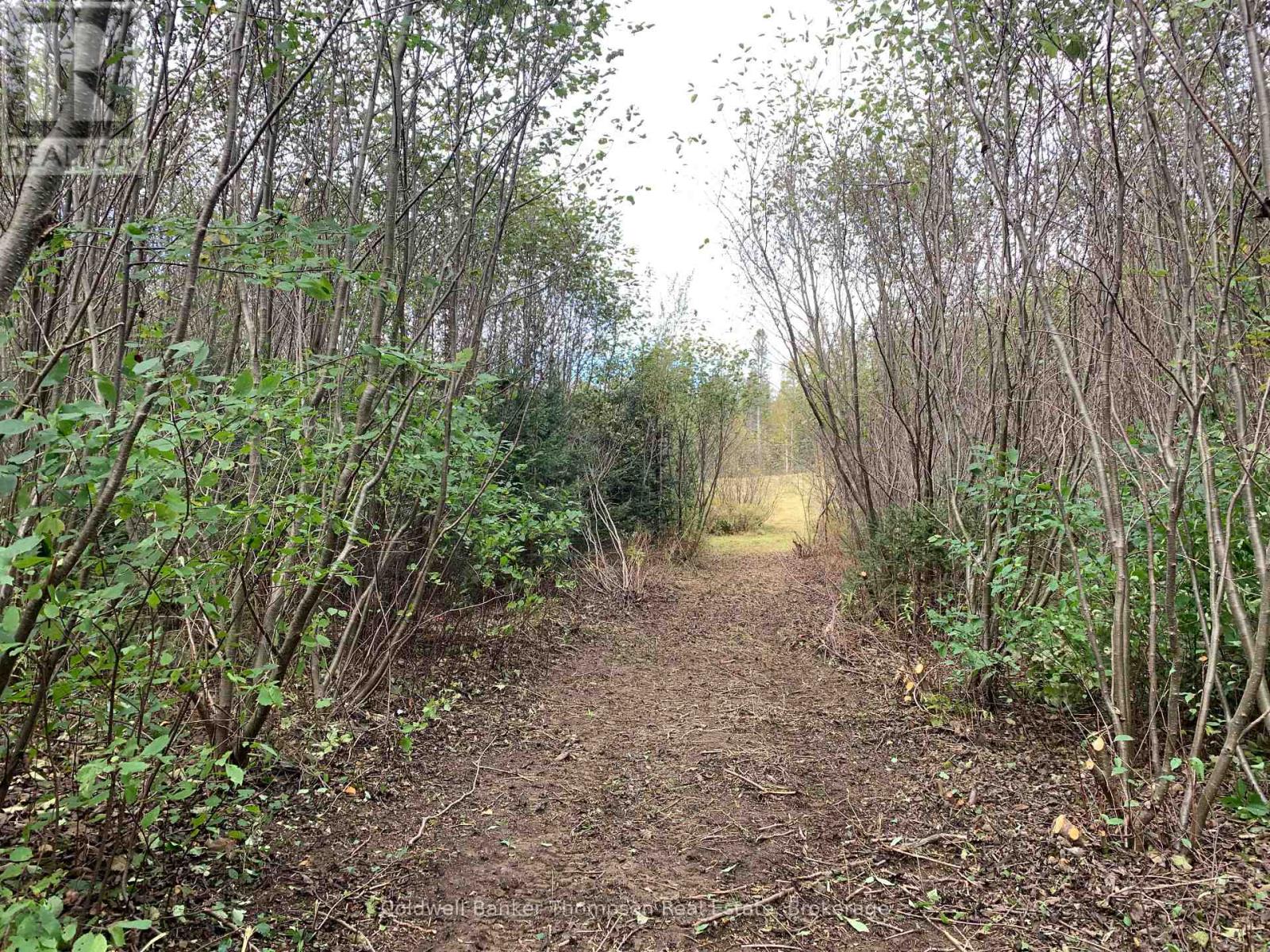 101 Proudfoot Road, Armour, Ontario  P0A 1Z0 - Photo 15 - X11885628