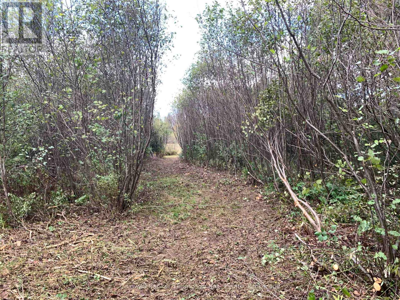 101 Proudfoot Road, Armour, Ontario  P0A 1Z0 - Photo 19 - X11885628