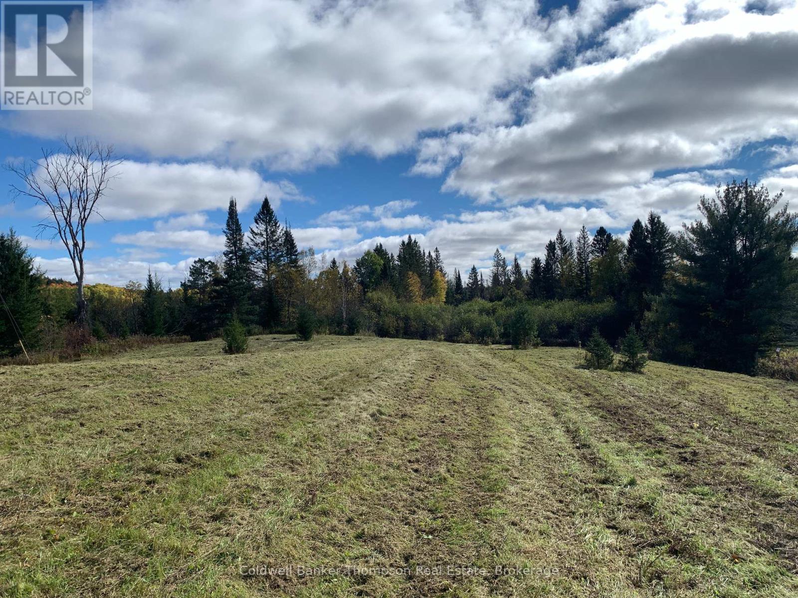 101 Proudfoot Road, Armour, Ontario  P0A 1Z0 - Photo 9 - X11885628