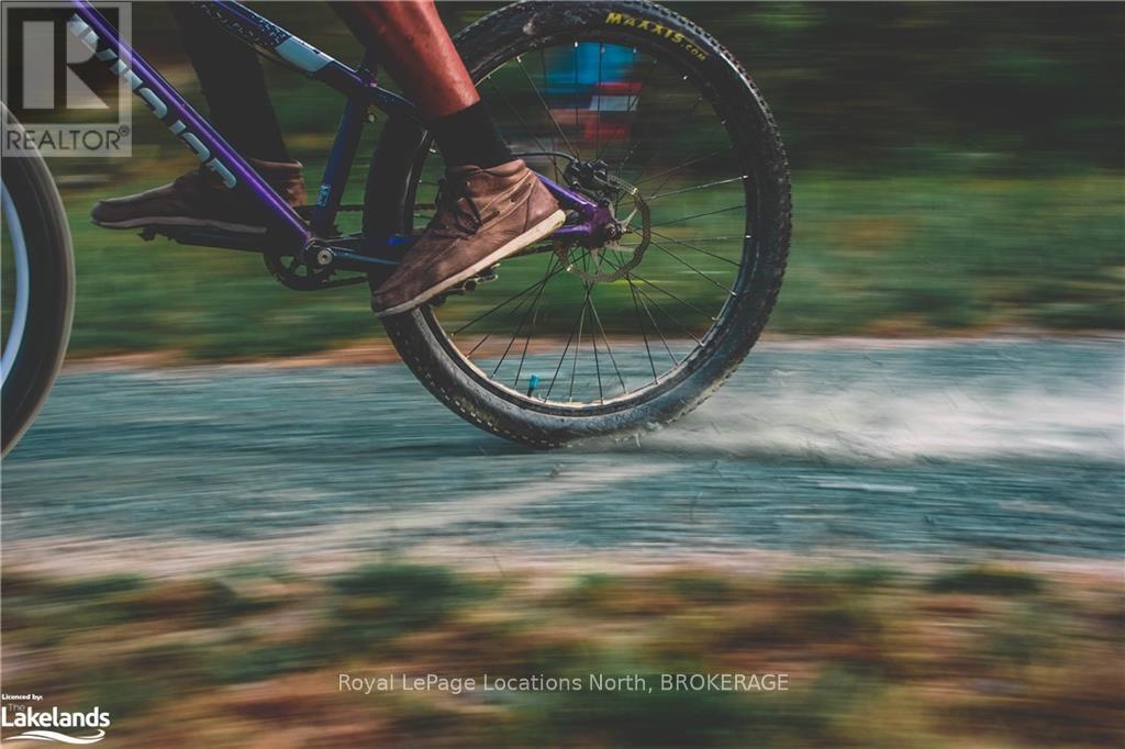 95 Goldie Court, Blue Mountains, Ontario  N0H 1J0 - Photo 40 - X10439846