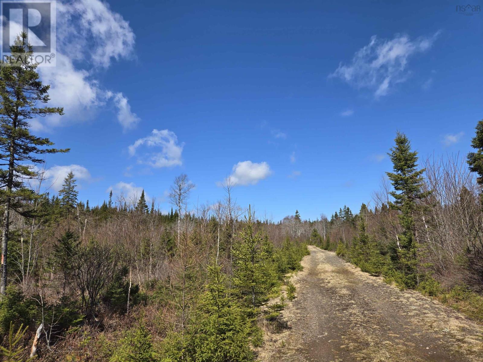 Lot 12,13,14 Hill Street, French Cove, Nova Scotia  B0E 3B0 - Photo 16 - 202427990