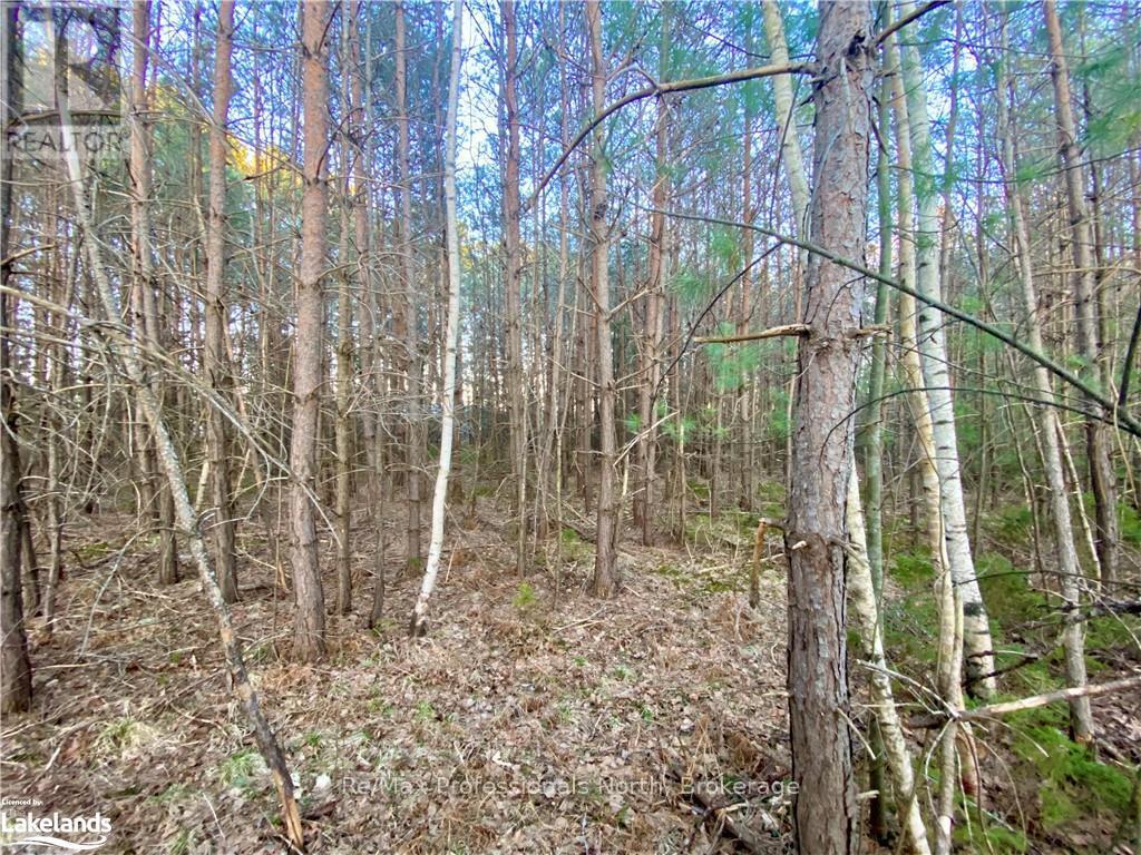 5 Anderson Street, Sundridge, Ontario  P0A 1Y0 - Photo 11 - X11885814