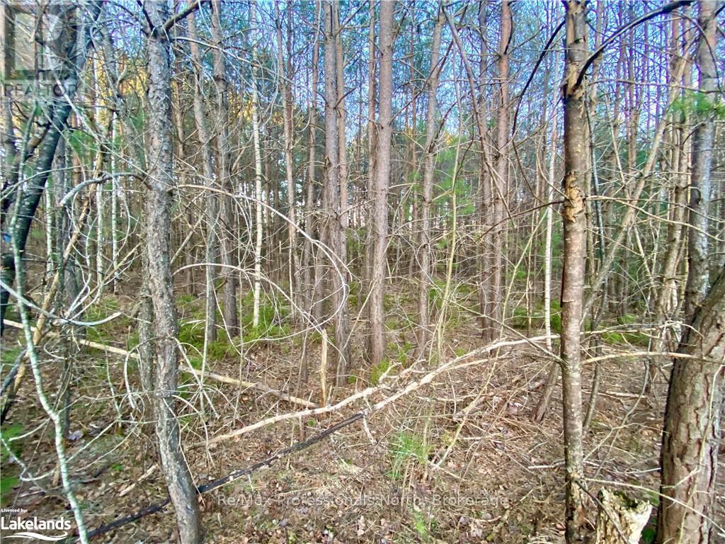 5 Anderson Street, Sundridge, Ontario  P0A 1Y0 - Photo 14 - X11885814