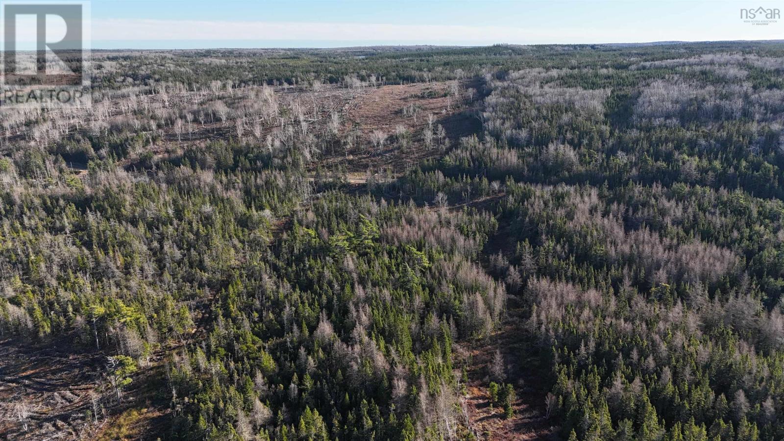 Salmon River Road, Enon, Nova Scotia  B1J 1X4 - Photo 21 - 202427992