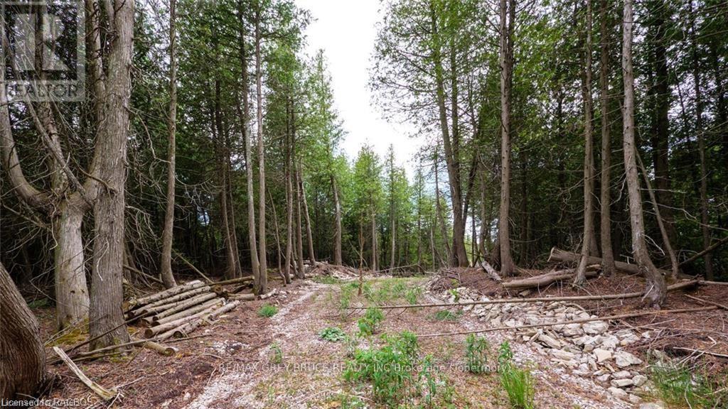 132 Bradley Drive, Northern Bruce Peninsula, Ontario  N0H 1Z0 - Photo 12 - X10846228