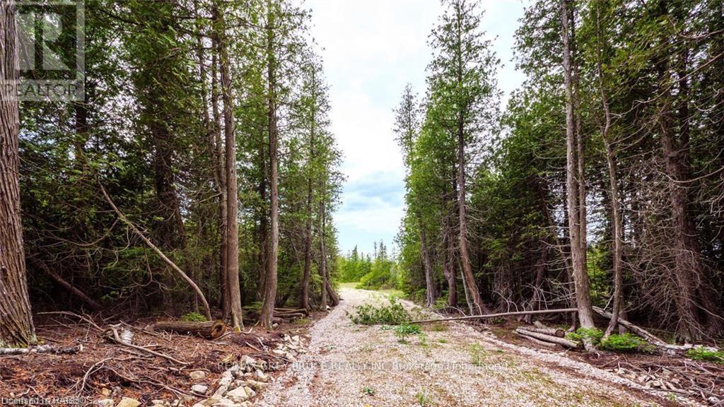 132 Bradley Drive, Northern Bruce Peninsula, Ontario  N0H 1Z0 - Photo 13 - X10846228