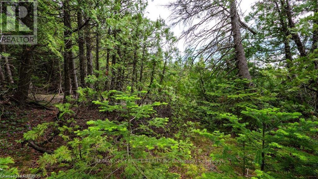 132 Bradley Drive, Northern Bruce Peninsula, Ontario  N0H 1Z0 - Photo 15 - X10846228