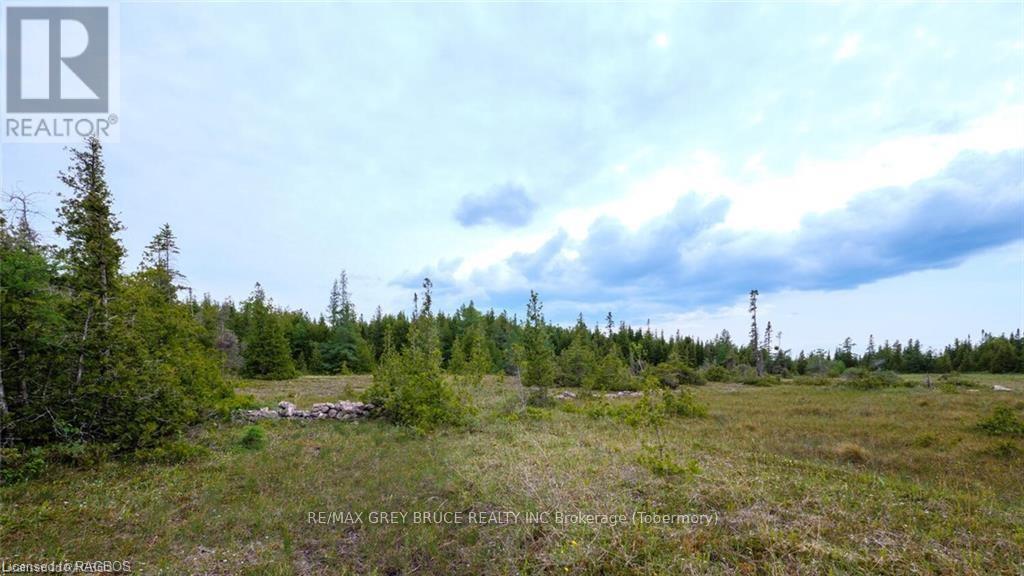 132 Bradley Drive, Northern Bruce Peninsula, Ontario  N0H 1Z0 - Photo 16 - X10846228