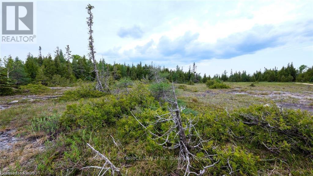 132 Bradley Drive, Northern Bruce Peninsula, Ontario  N0H 1Z0 - Photo 17 - X10846228