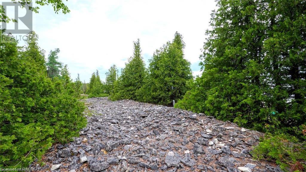 132 Bradley Drive, Northern Bruce Peninsula, Ontario  N0H 1Z0 - Photo 21 - X10846228