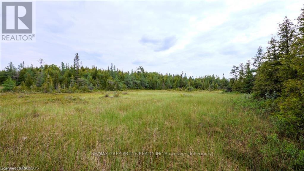 132 Bradley Drive, Northern Bruce Peninsula, Ontario  N0H 1Z0 - Photo 25 - X10846228