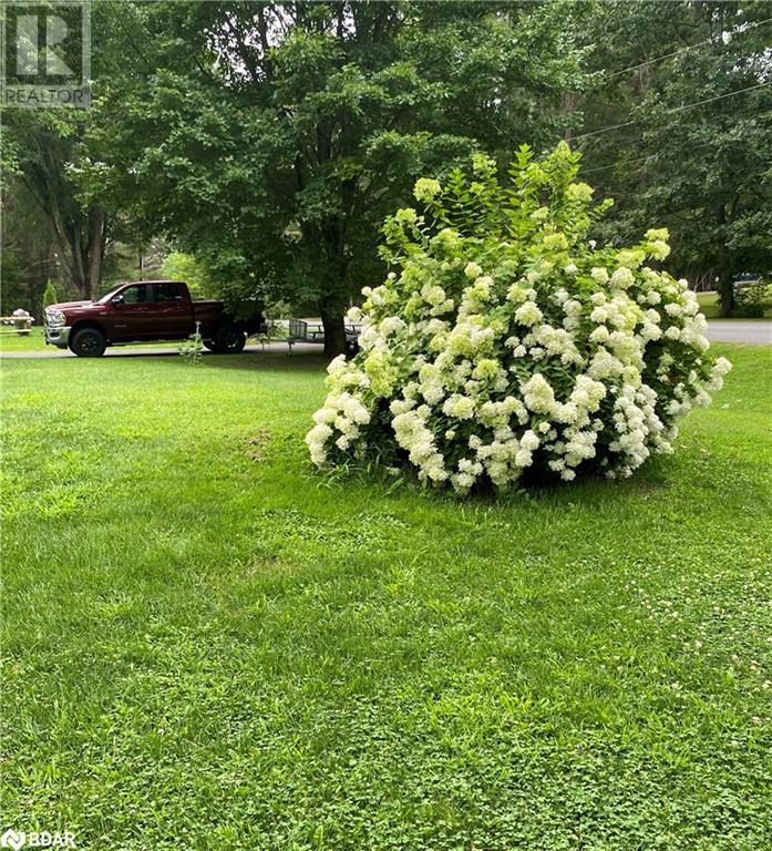 105 Fredrick St Street, Bracebridge, Ontario  P1L 0A1 - Photo 21 - 40684048