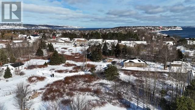3 Russells Lane, Bay Roberts, Newfoundland & Labrador  A0A 1G0 - Photo 2 - 1280245