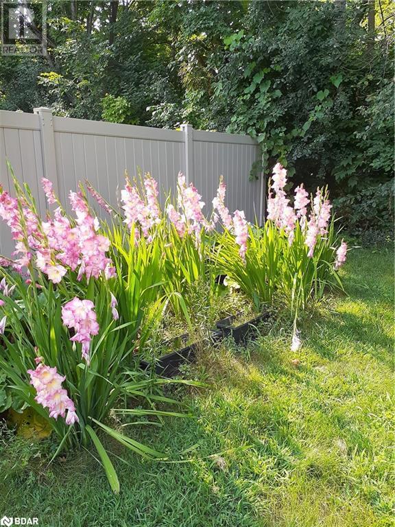 93 Jamieson Crescent, Oro-Medonte, Ontario  L3V 6H8 - Photo 35 - 40684070