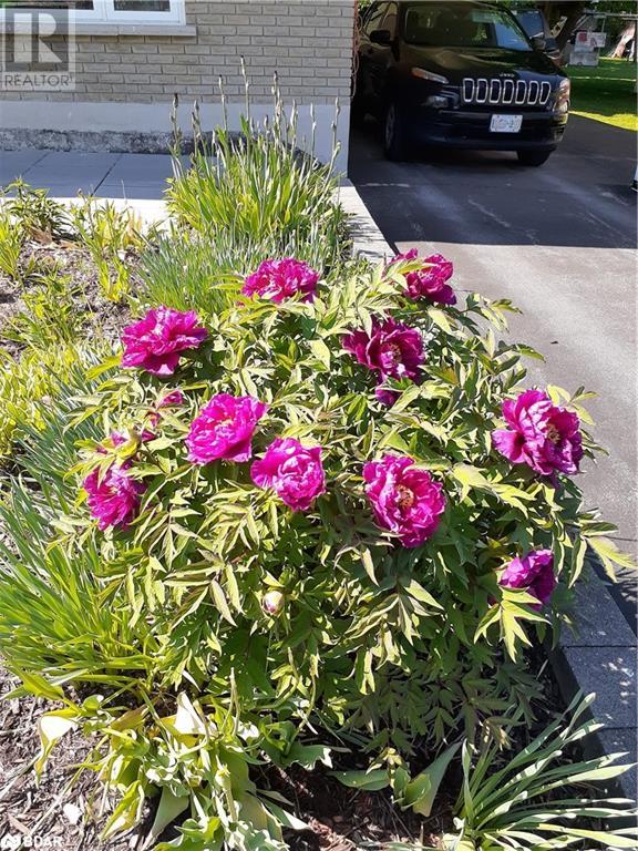 93 Jamieson Crescent, Oro-Medonte, Ontario  L3V 6H8 - Photo 36 - 40684070