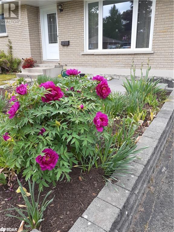 93 Jamieson Crescent, Oro-Medonte, Ontario  L3V 6H8 - Photo 37 - 40684070