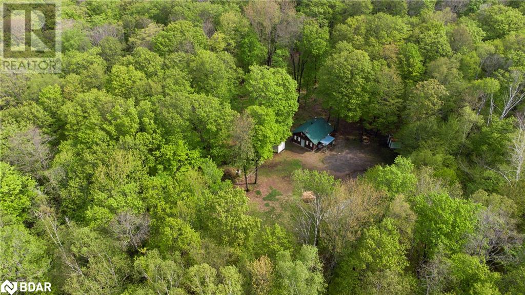 1040 Bill Mclaren Trail, Harcourt, Ontario  K0L 1X0 - Photo 6 - 40594558