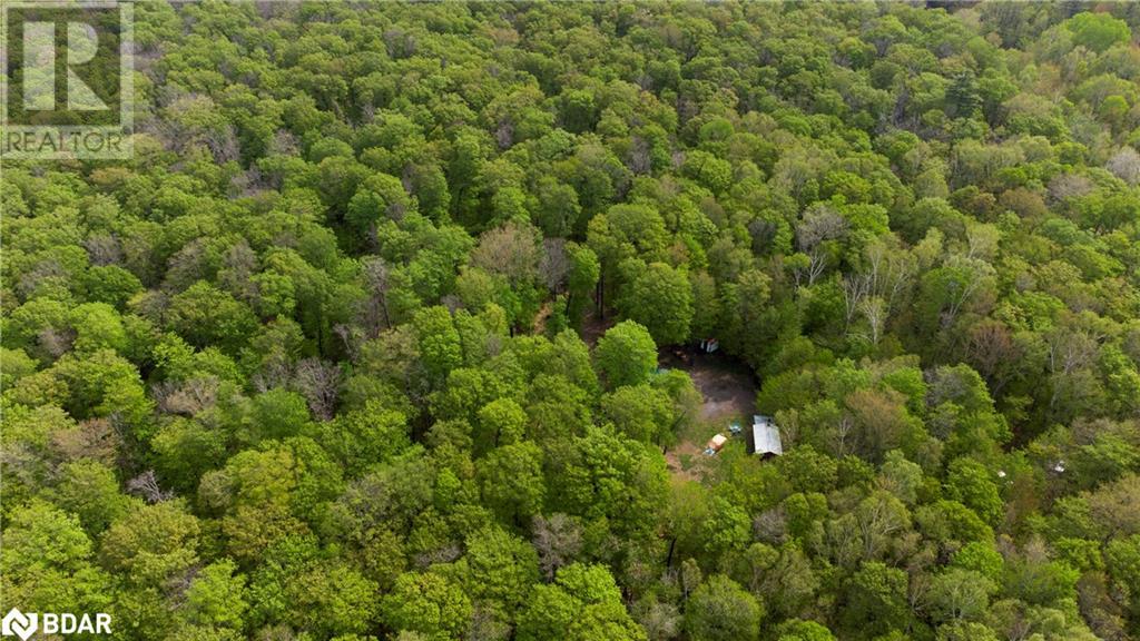 1040 Bill Mclaren Trail, Harcourt, Ontario  K0L 1X0 - Photo 5 - 40594558
