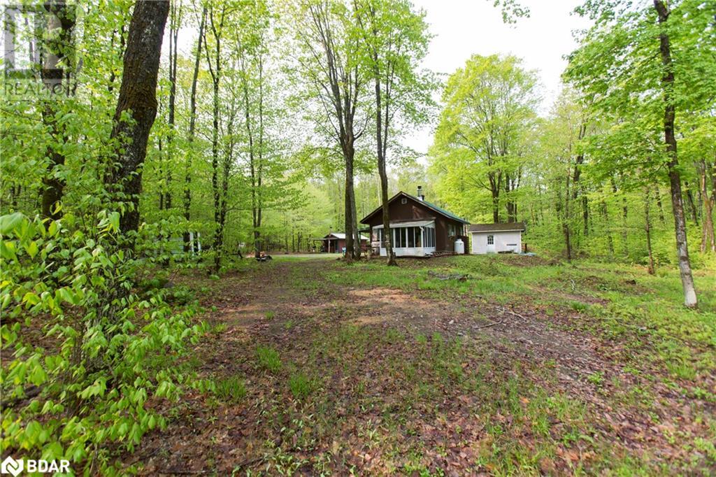 1040 Bill Mclaren Trail, Harcourt, Ontario  K0L 1X0 - Photo 15 - 40594558