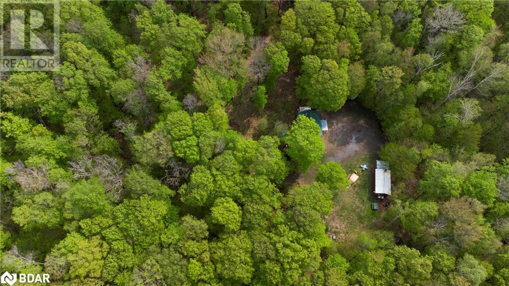 1040 Bill Mclaren Trail, Harcourt, Ontario  K0L 1X0 - Photo 4 - 40594558