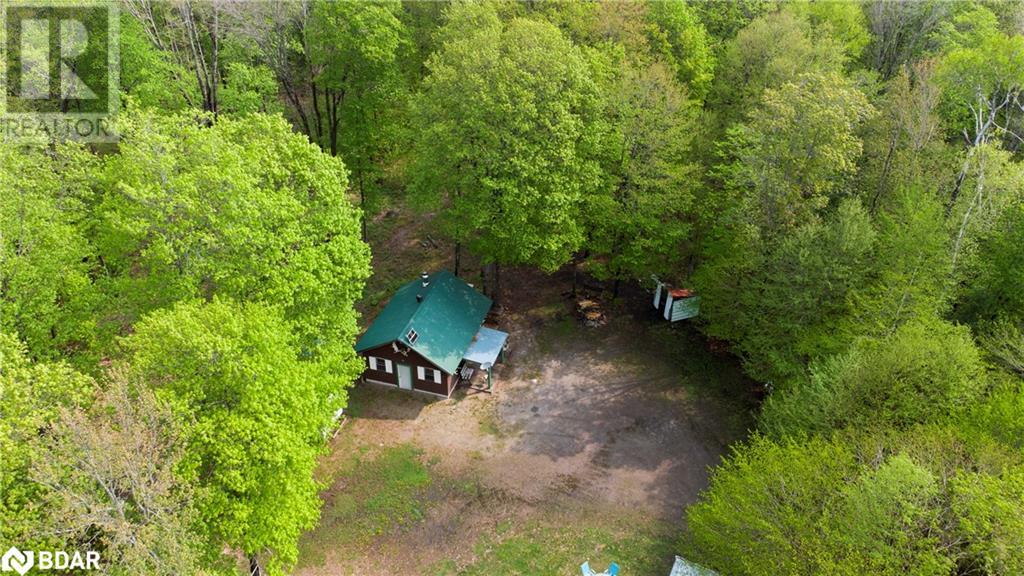 1040 Bill Mclaren Trail, Harcourt, Ontario  K0L 1X0 - Photo 7 - 40594558