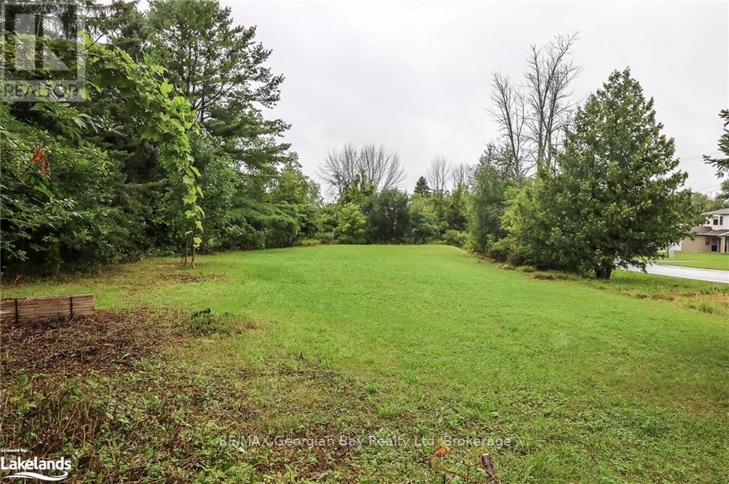 392 William Street, Tay, Ontario  L0K 2A0 - Photo 34 - S10896160