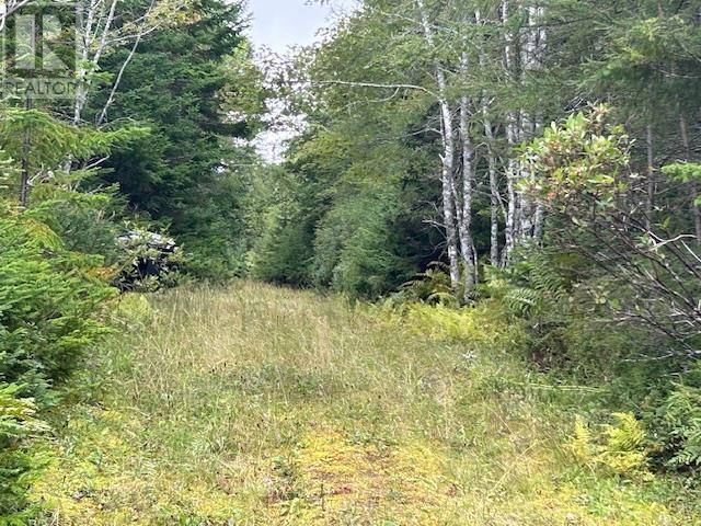 Lot 9 468 West Side Loch Lomond Road, Loch Lomond, Nova Scotia  B0A 1H0 - Photo 25 - 202421867