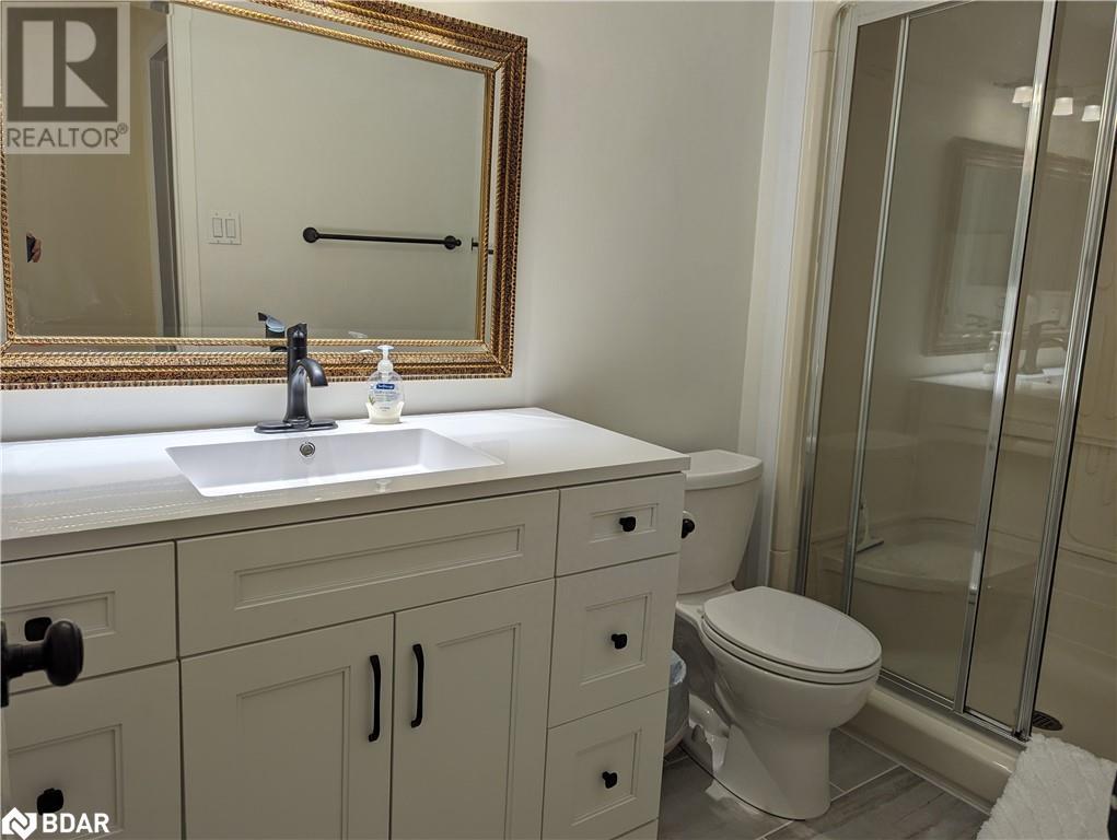 243 Lillian Crescent, Barrie, Ontario  L4N 5Y8 - Photo 22 - 40684117