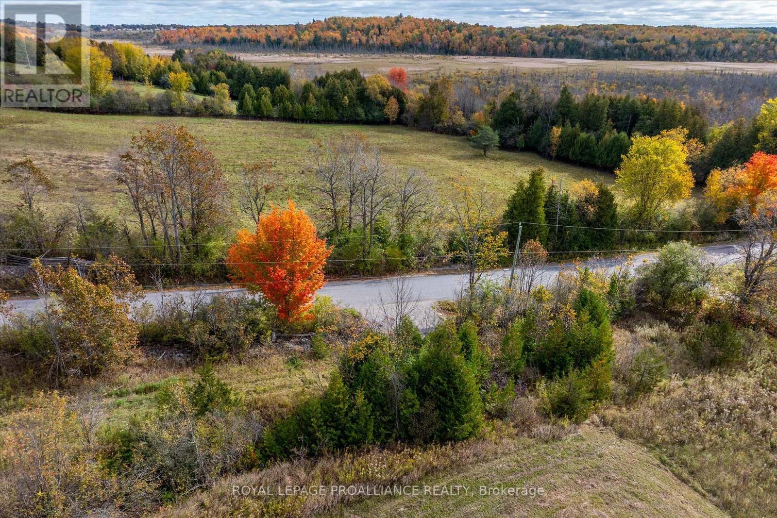 0 Centre Line, Smith-Ennismore-Lakefield, Ontario  K0L 2H0 - Photo 24 - X11886719