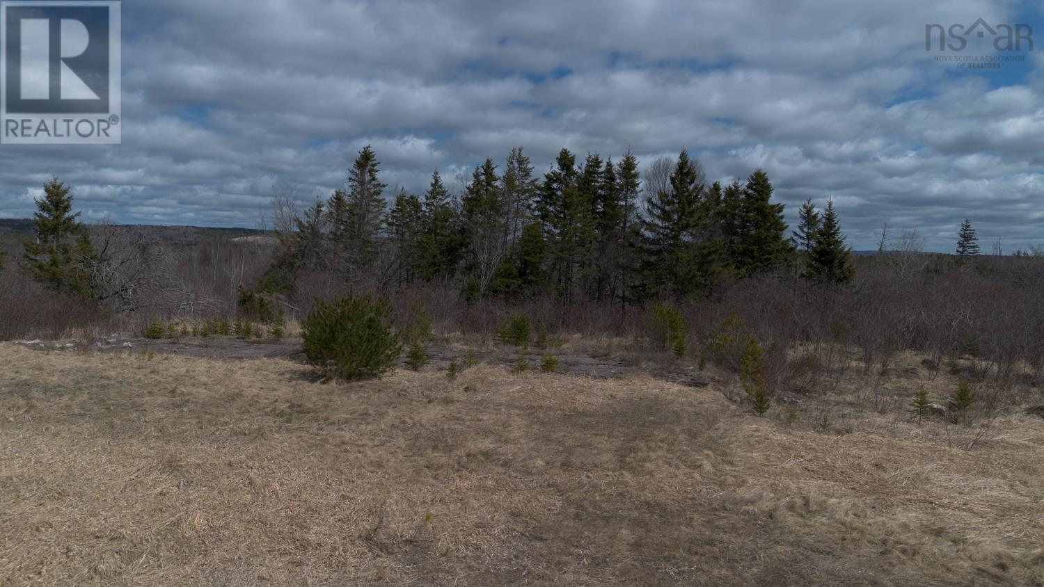 Lot Station Road, Londonderry Station, Nova Scotia  B0M 1G0 - Photo 4 - 202428031
