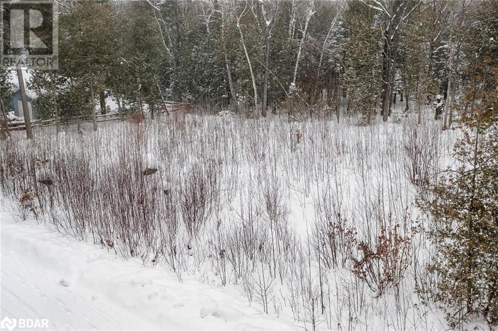 Lot 17 Faesulae Road, Tiny, Ontario  L9M 0J1 - Photo 2 - 40683911