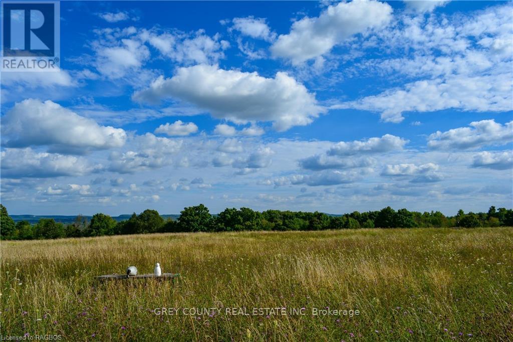Na 3rd Line C, Grey Highlands, Ontario  N0H 1N0 - Photo 11 - X10846232