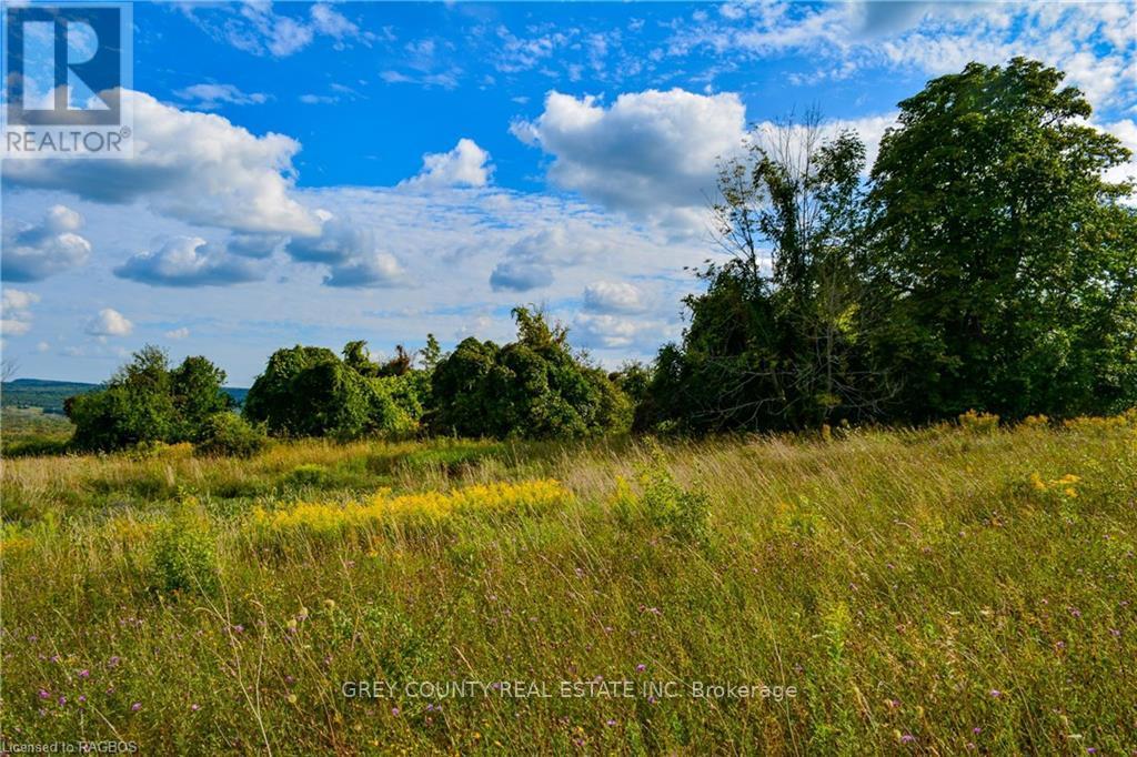 Na 3rd Line C, Grey Highlands, Ontario  N0H 1N0 - Photo 22 - X10846232