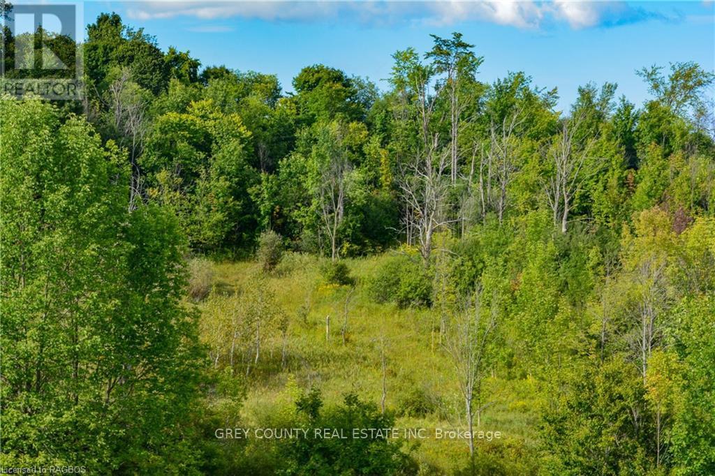 Na 3rd Line C, Grey Highlands, Ontario  N0H 1N0 - Photo 25 - X10846232