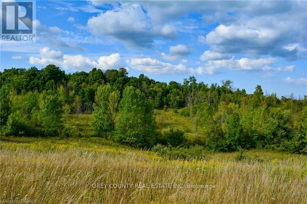 Na 3rd Line C, Grey Highlands, Ontario  N0H 1N0 - Photo 26 - X10846232