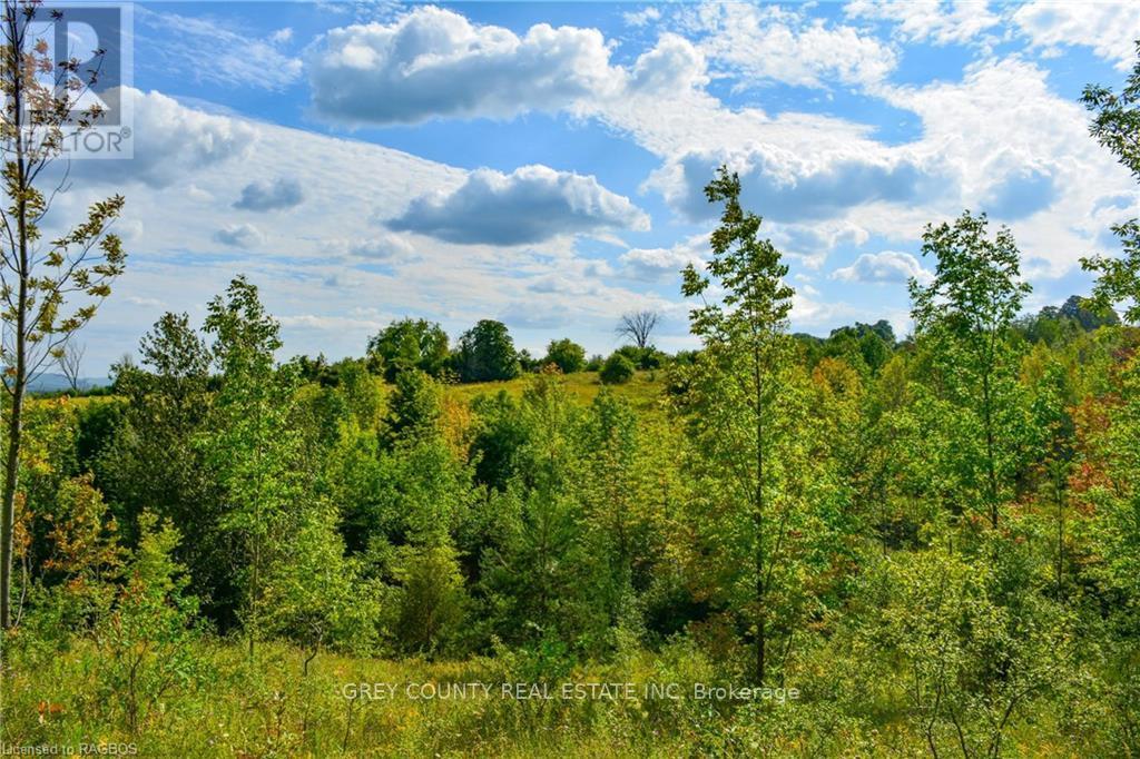 Na 3rd Line C, Grey Highlands, Ontario  N0H 1N0 - Photo 35 - X10846232